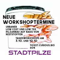 Stadtpilze Workshop – Urban Mushroom Cultivation Using Waste Materials