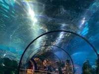 L’Aquàrium de Barcelona